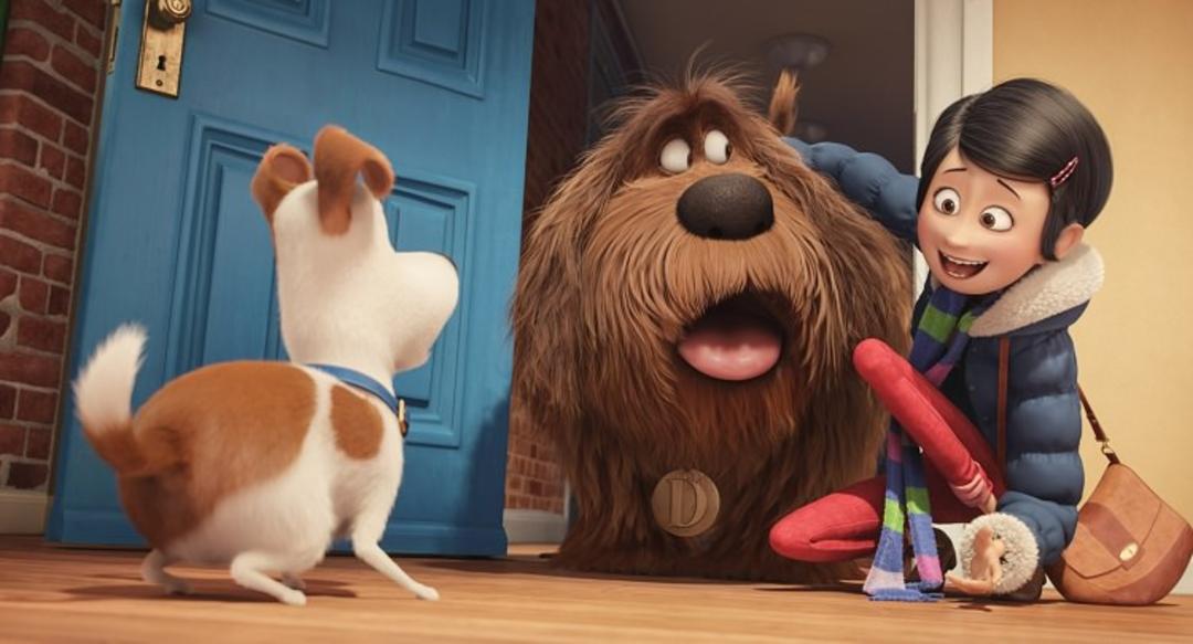 2016-05-the-secret-life-of-pets-trailer