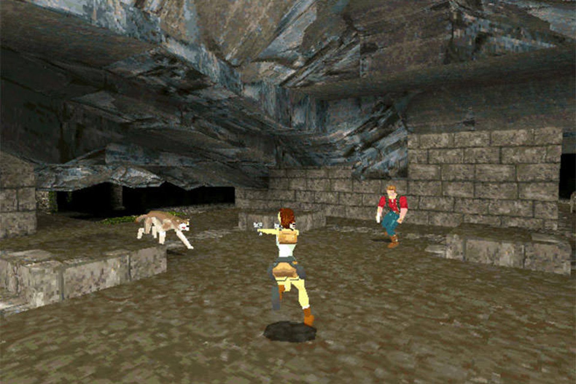 Tomb Raider