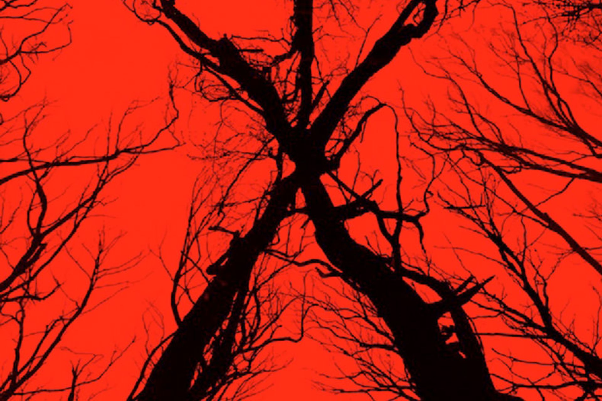 2016-07-blair-witch