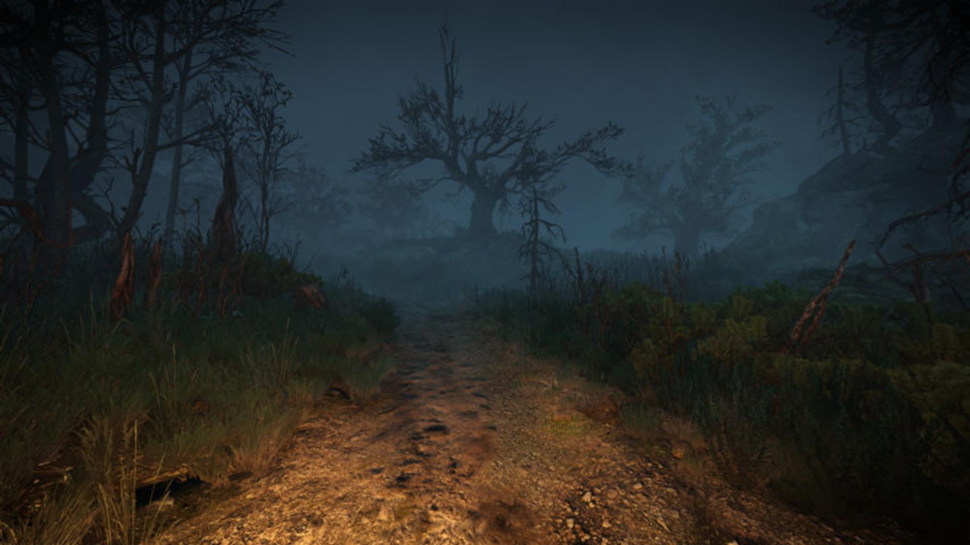 ماد اول شخص The Witcher 3