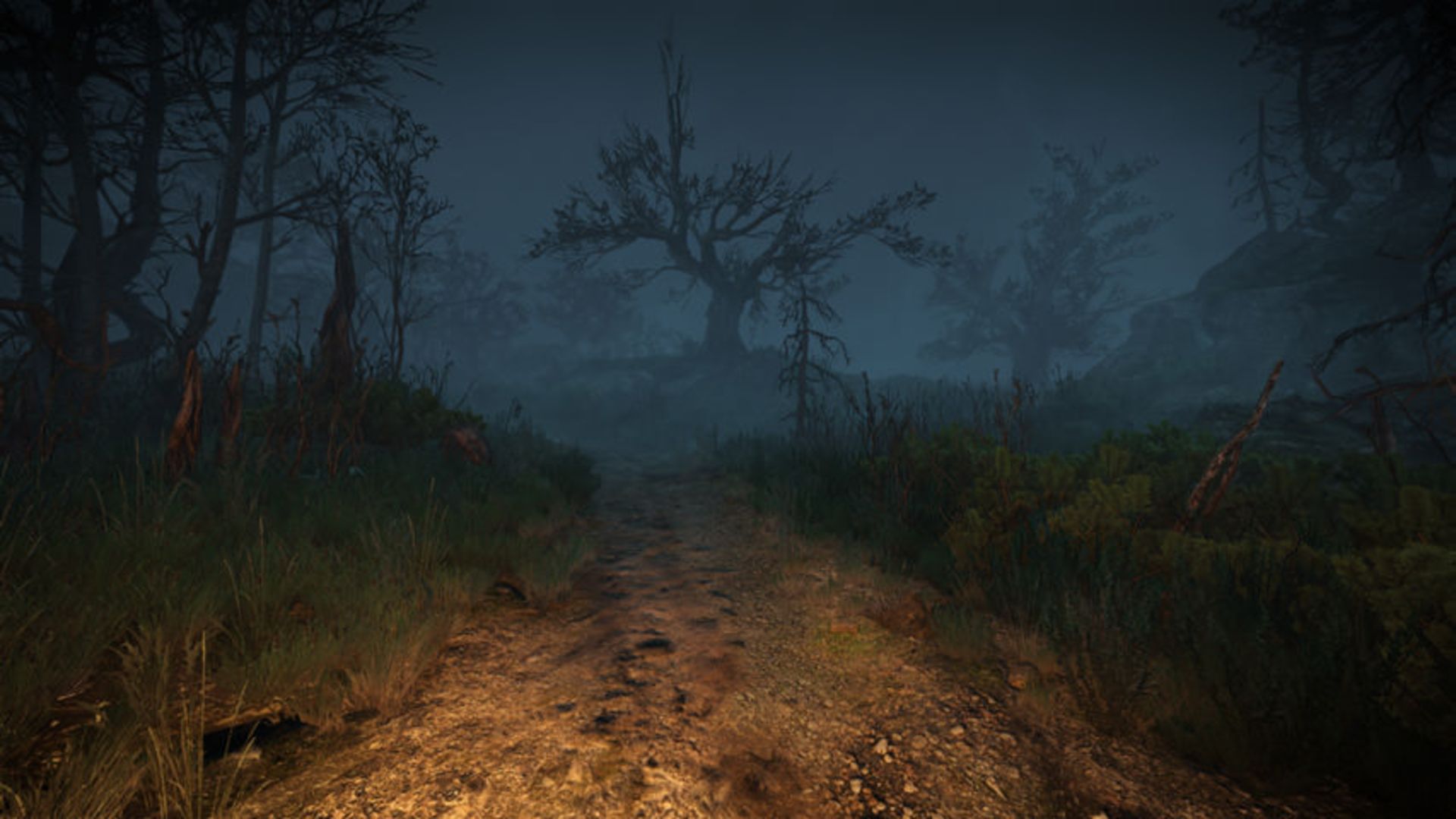 ماد اول شخص The Witcher 3