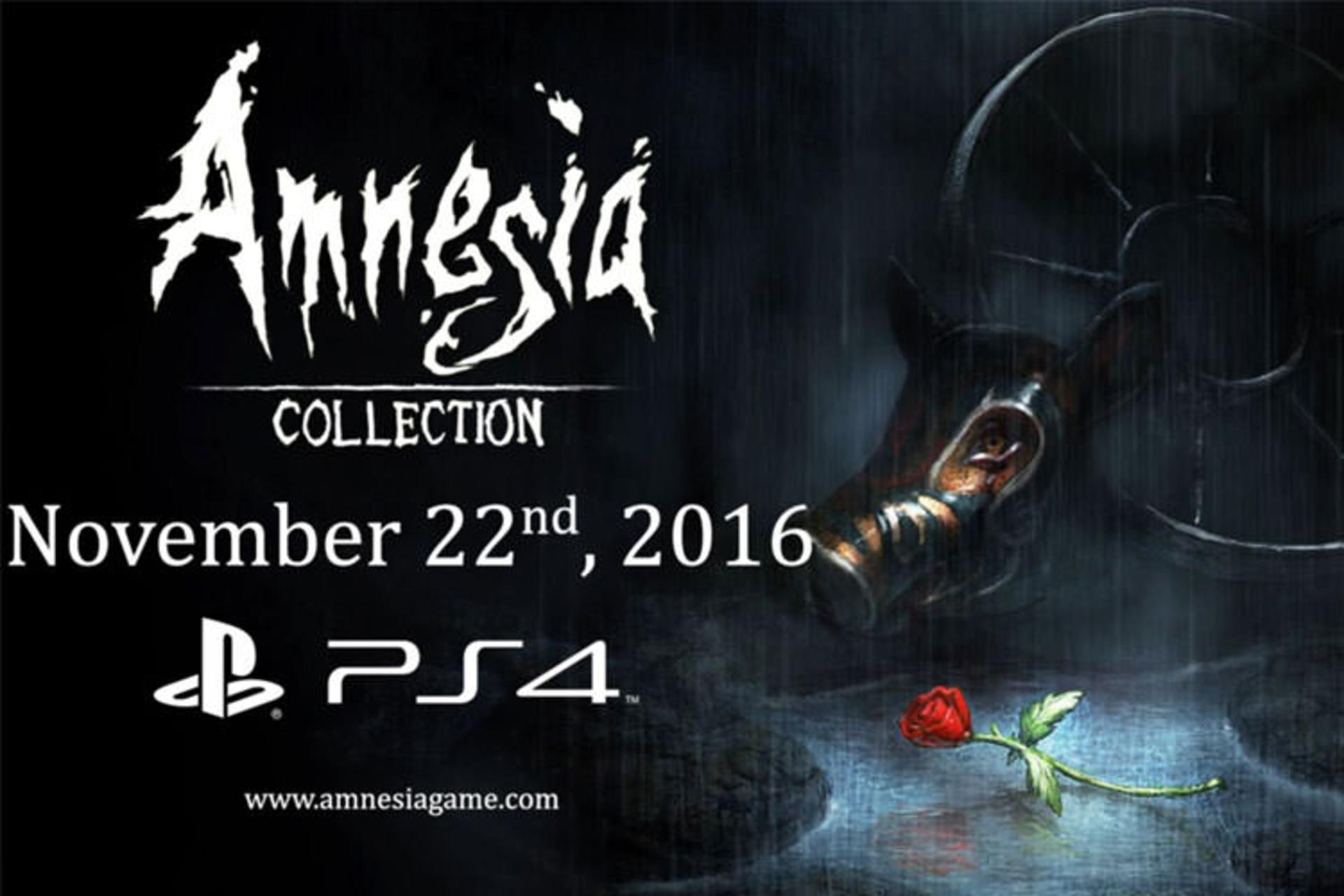 Amnesia Collection