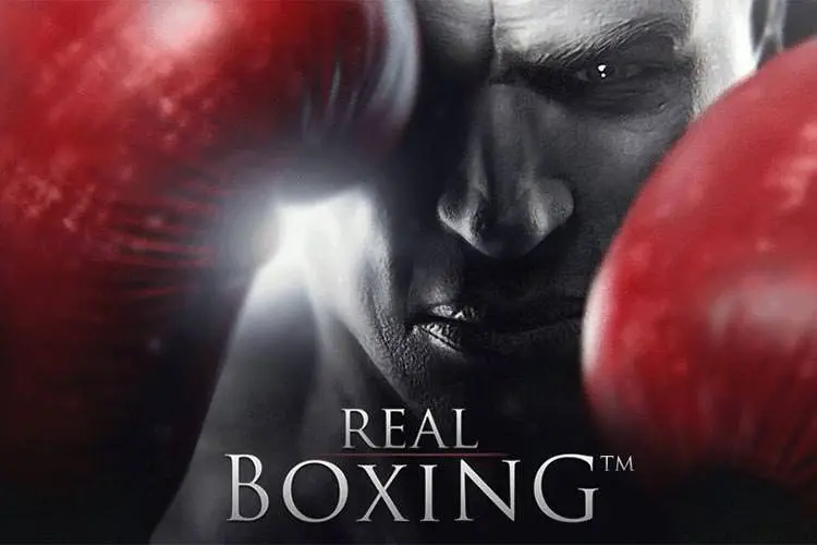 Real Boxing