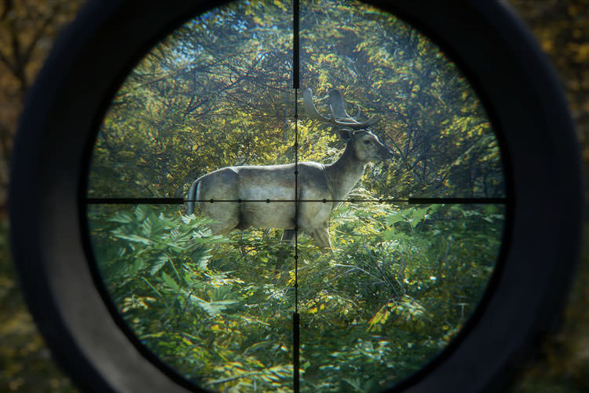 theHunter: Call of the Wild