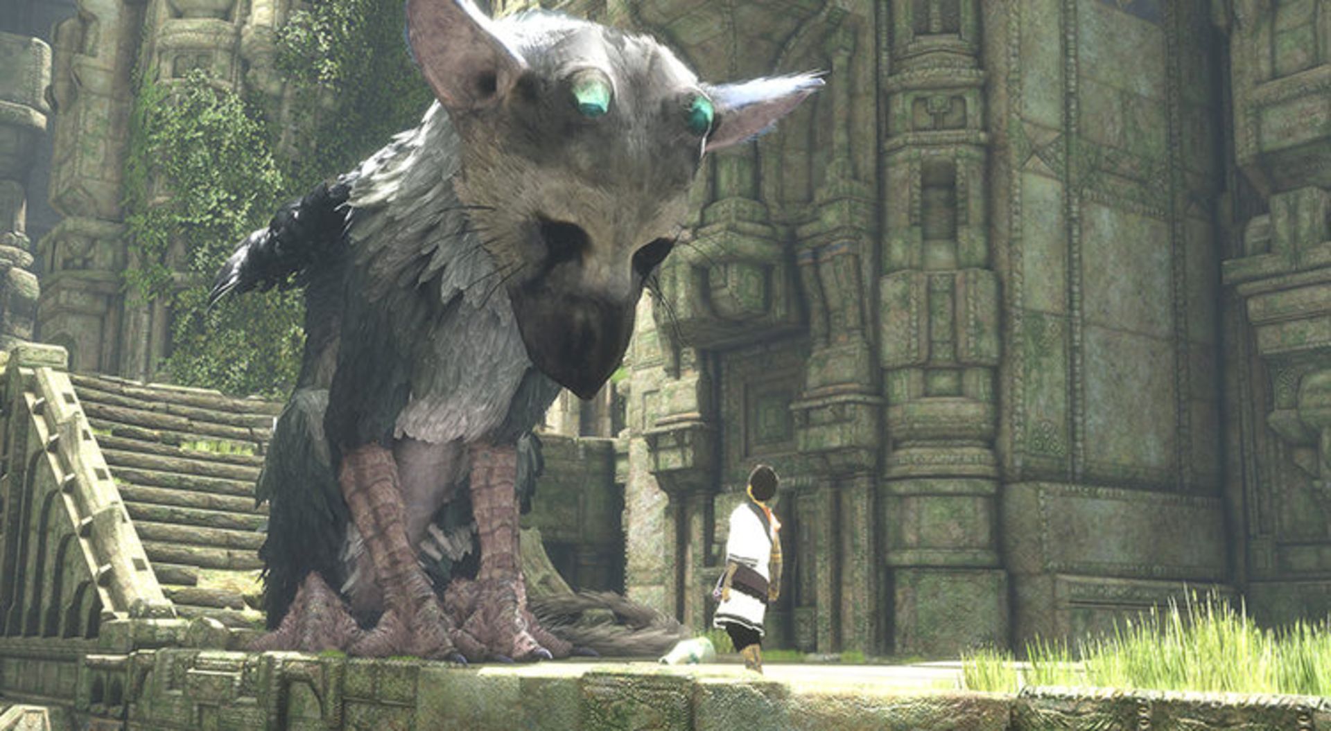 the last guardian