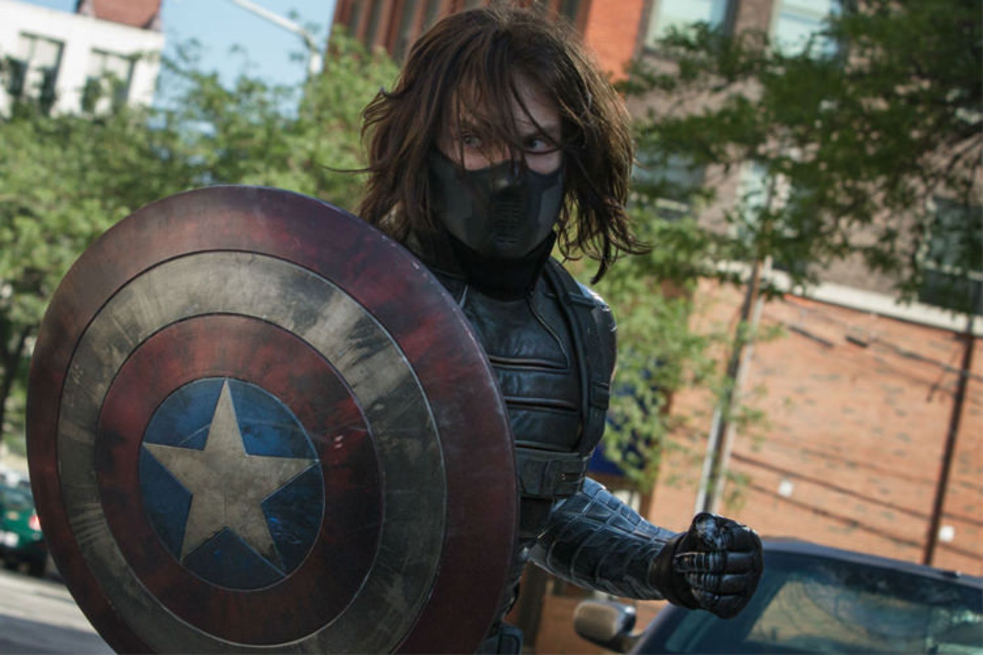 bucky