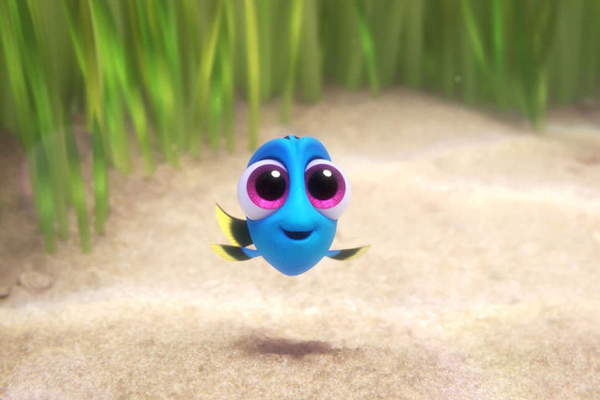 Finding Dory