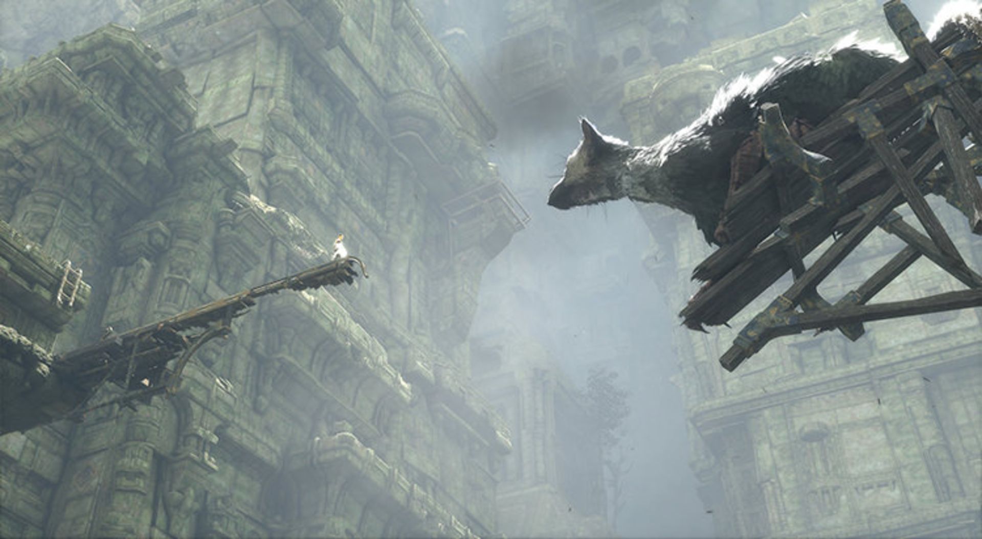 the last guardian