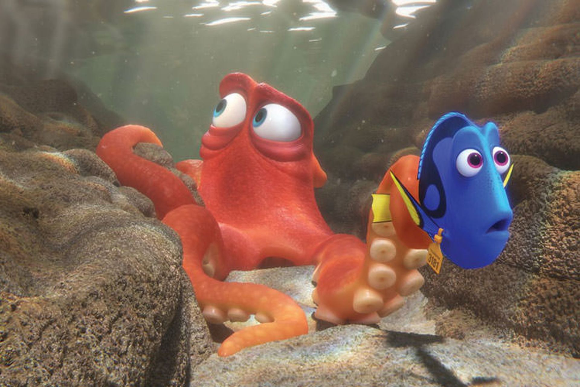 Finding Dory