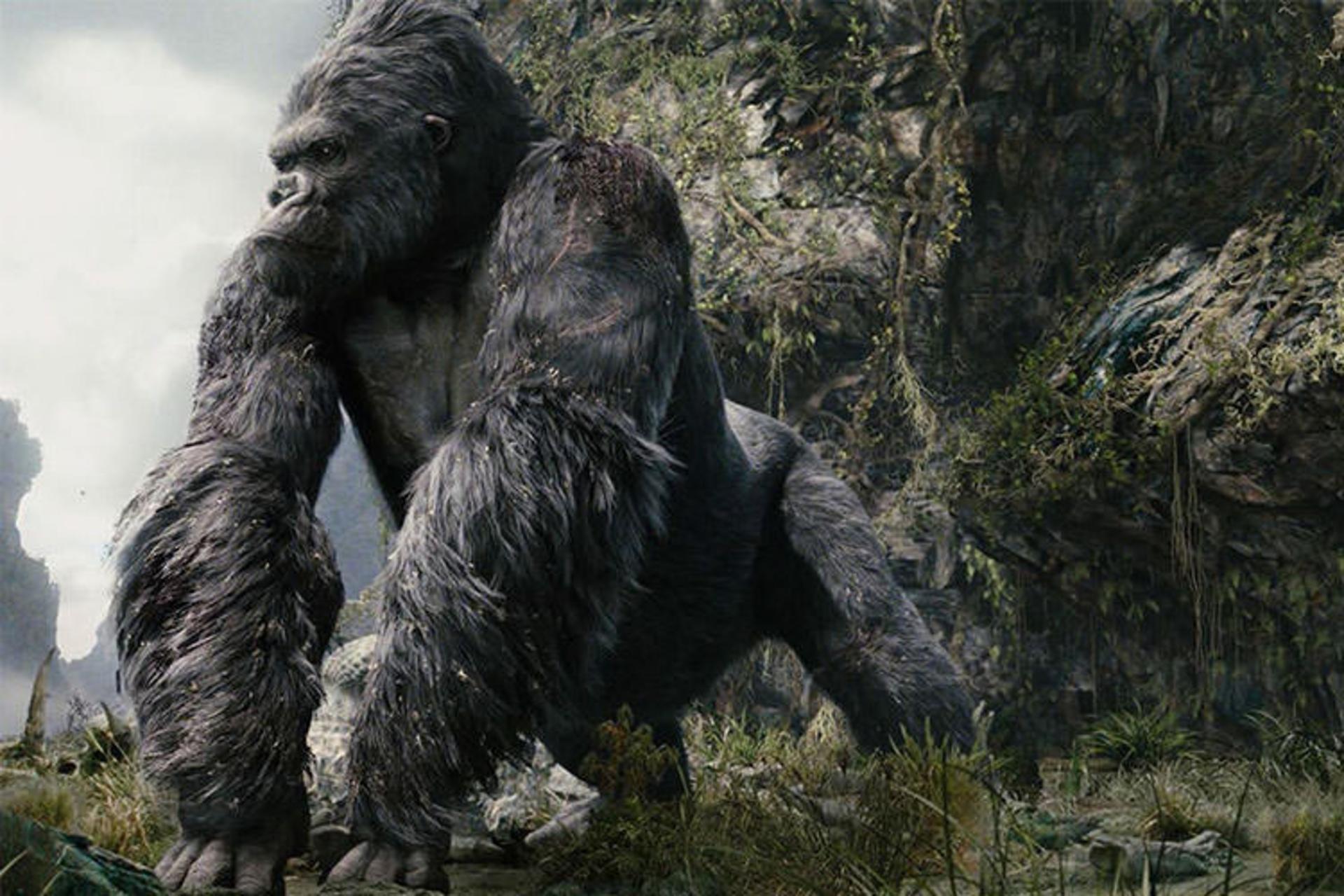 kong skull island