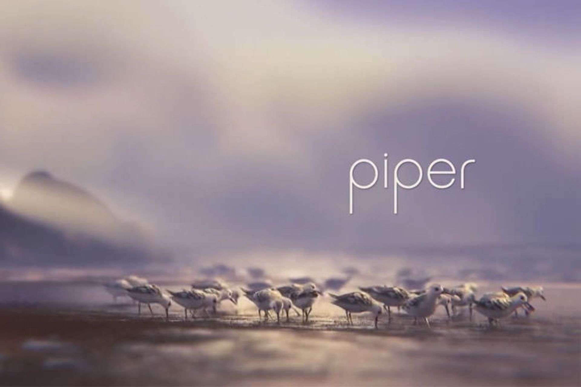 انیمیشن کوتاه Piper