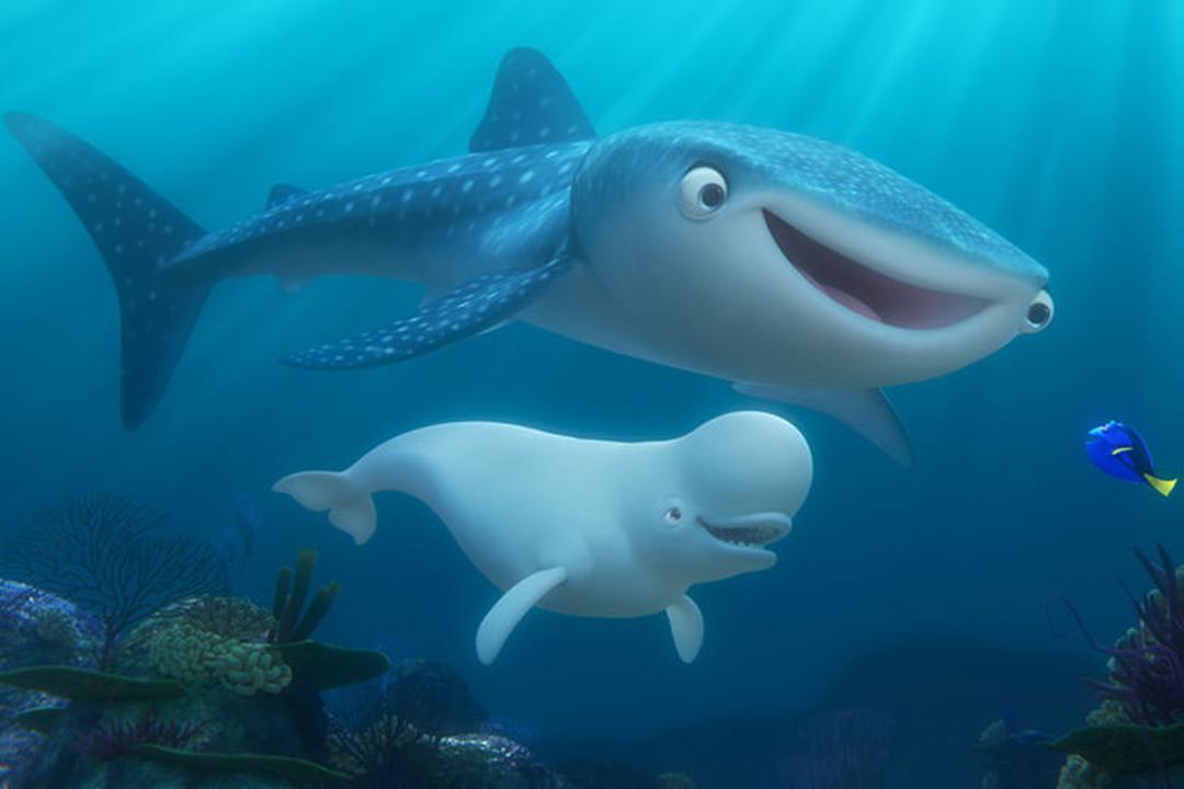 Finding Dory