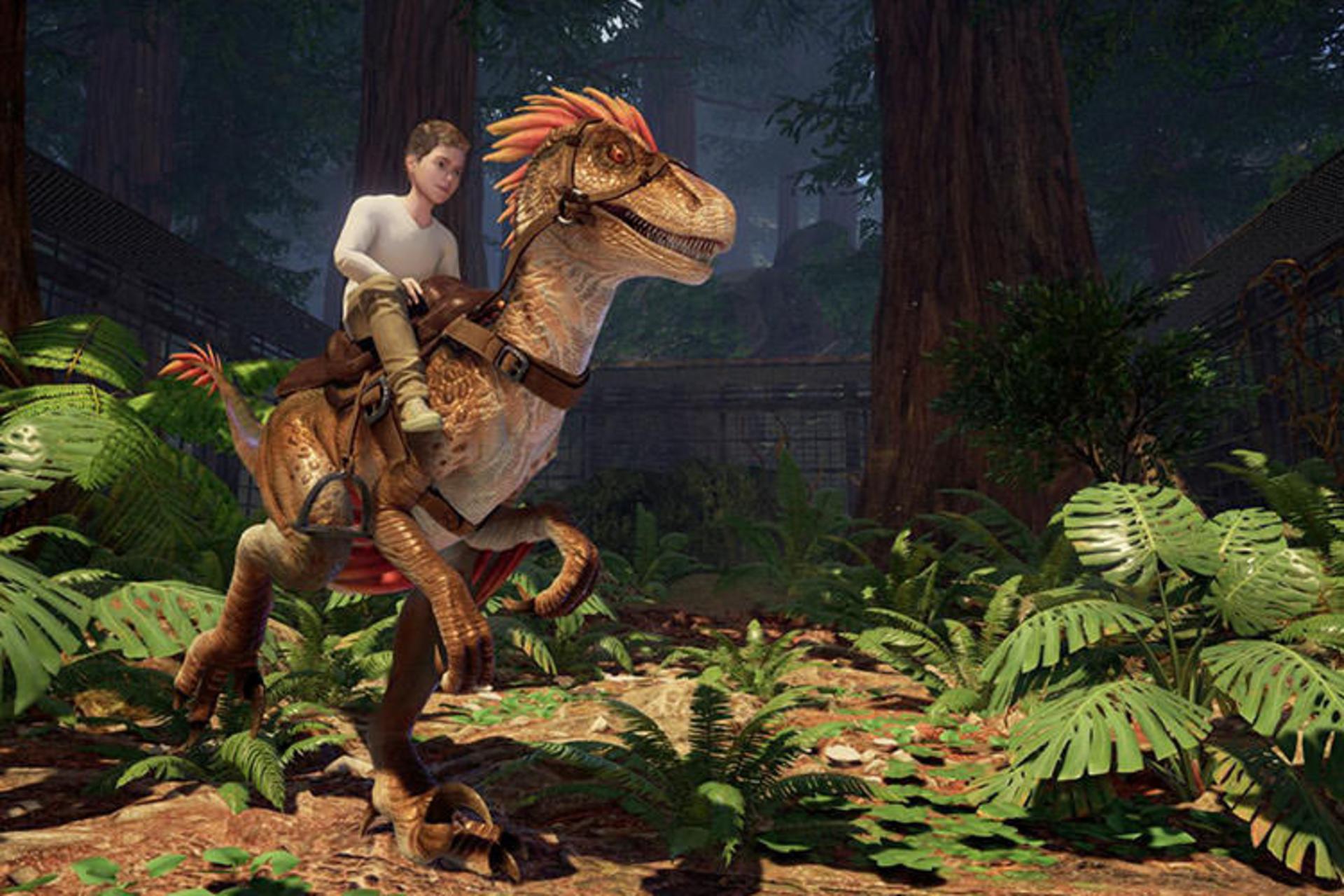 Ark Park