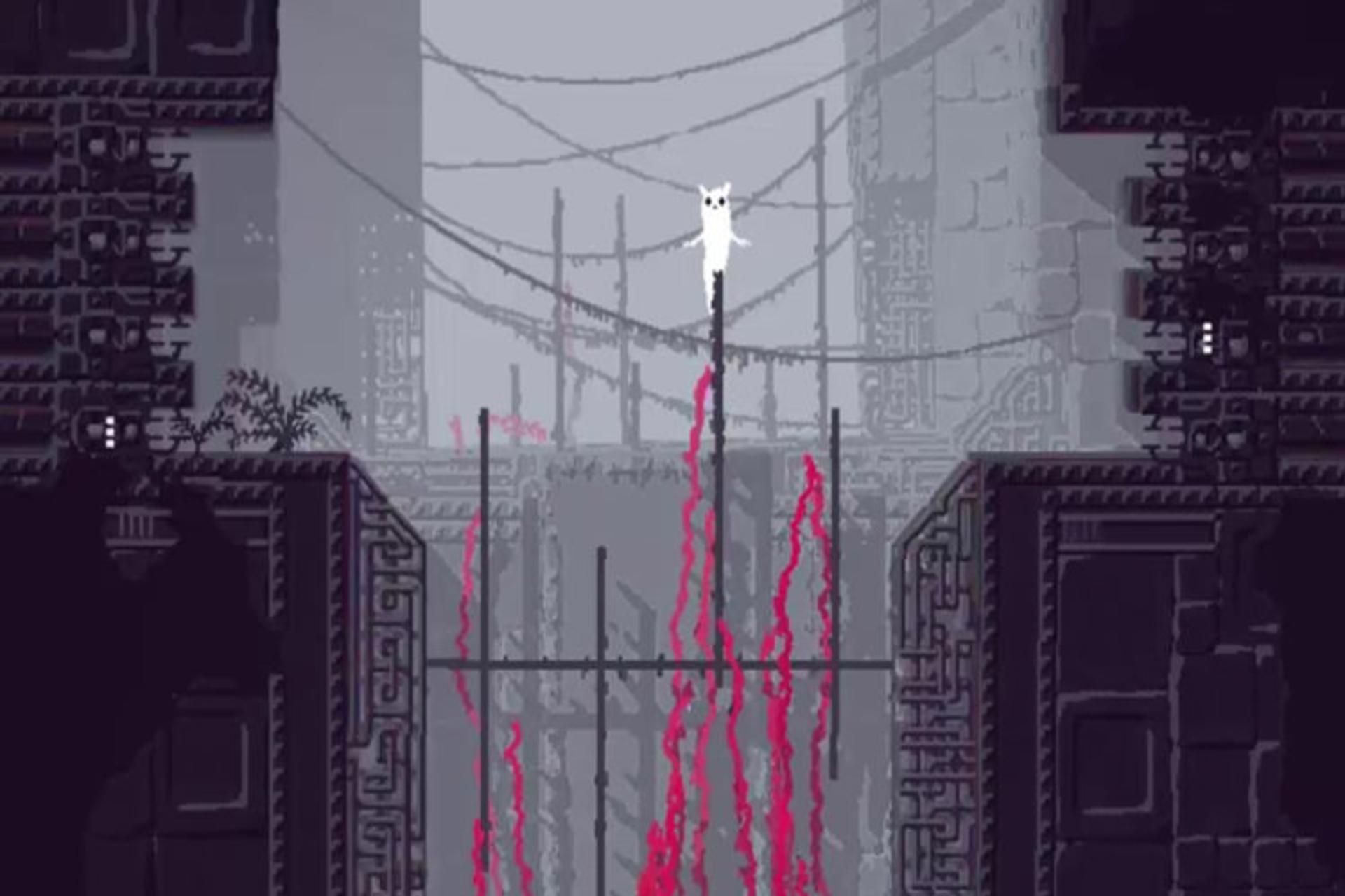rain world