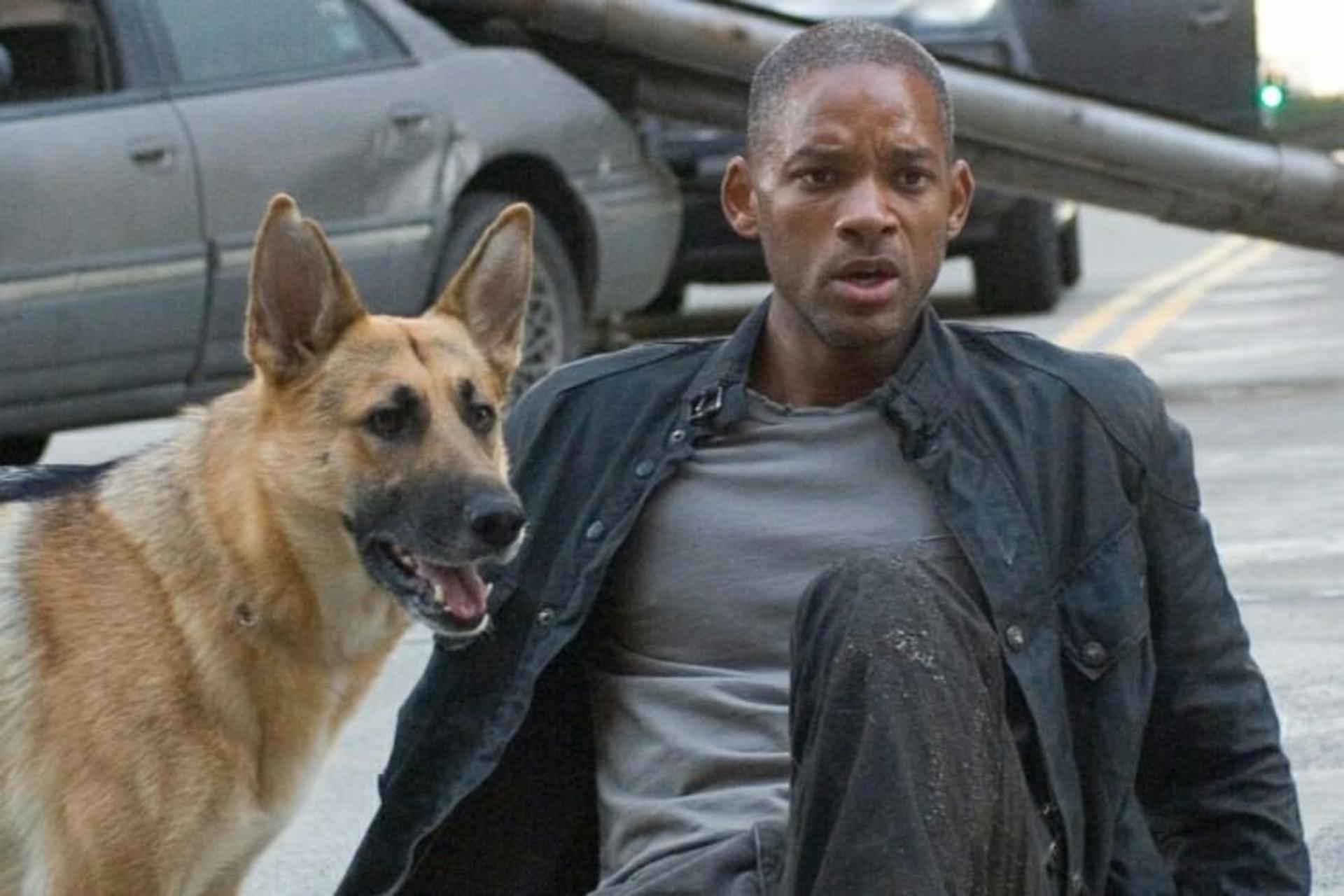 I-am-legend-will-smith