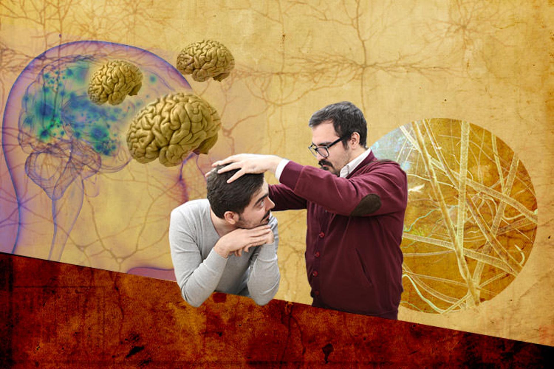 هایلایت