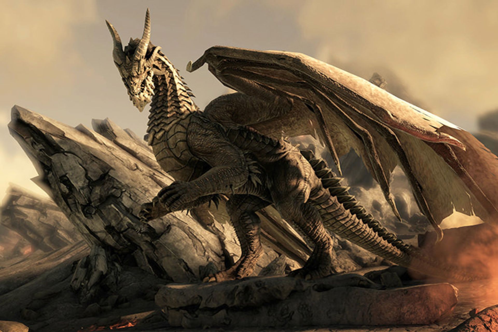 dark and light game 