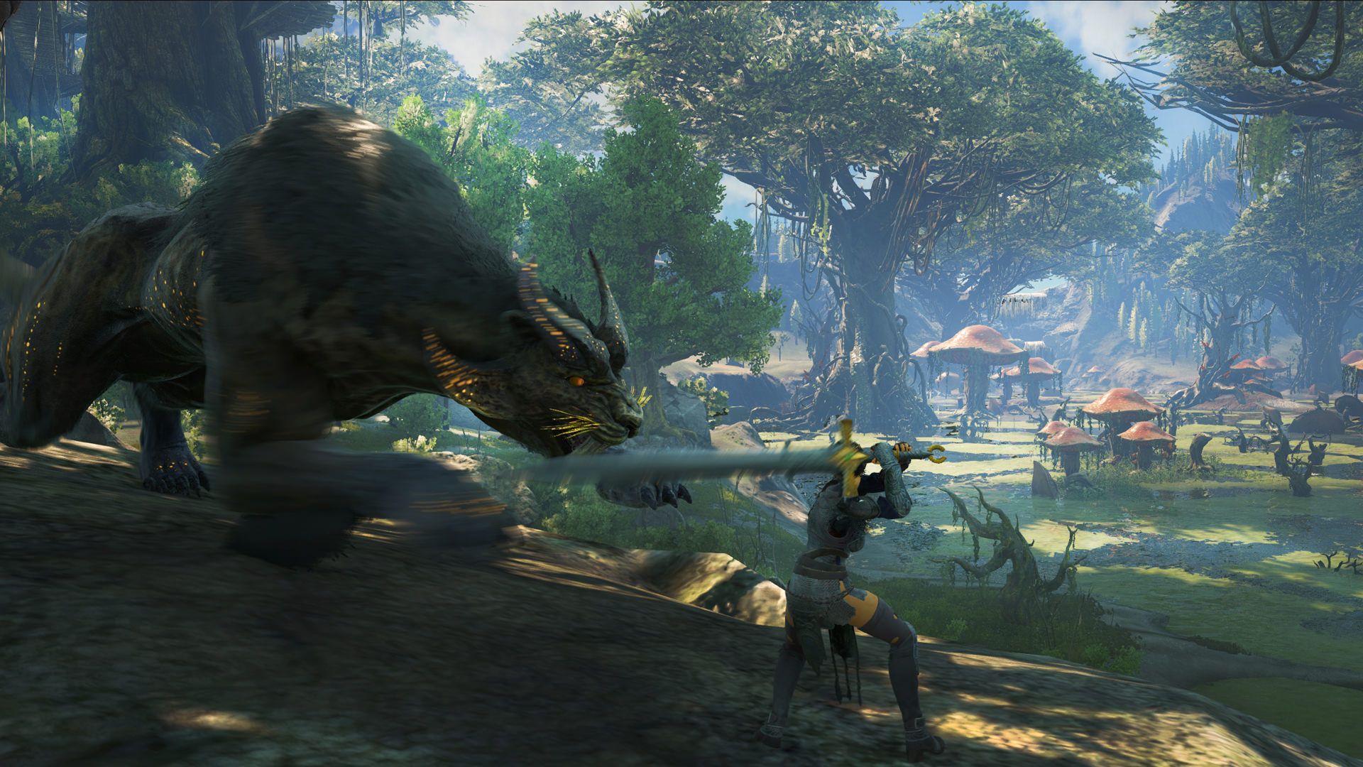 dark and light game 