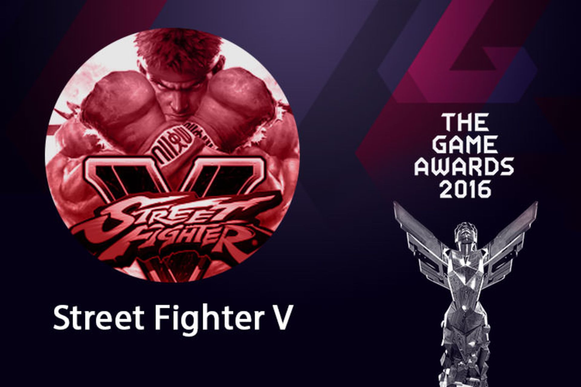 Street FighteR V