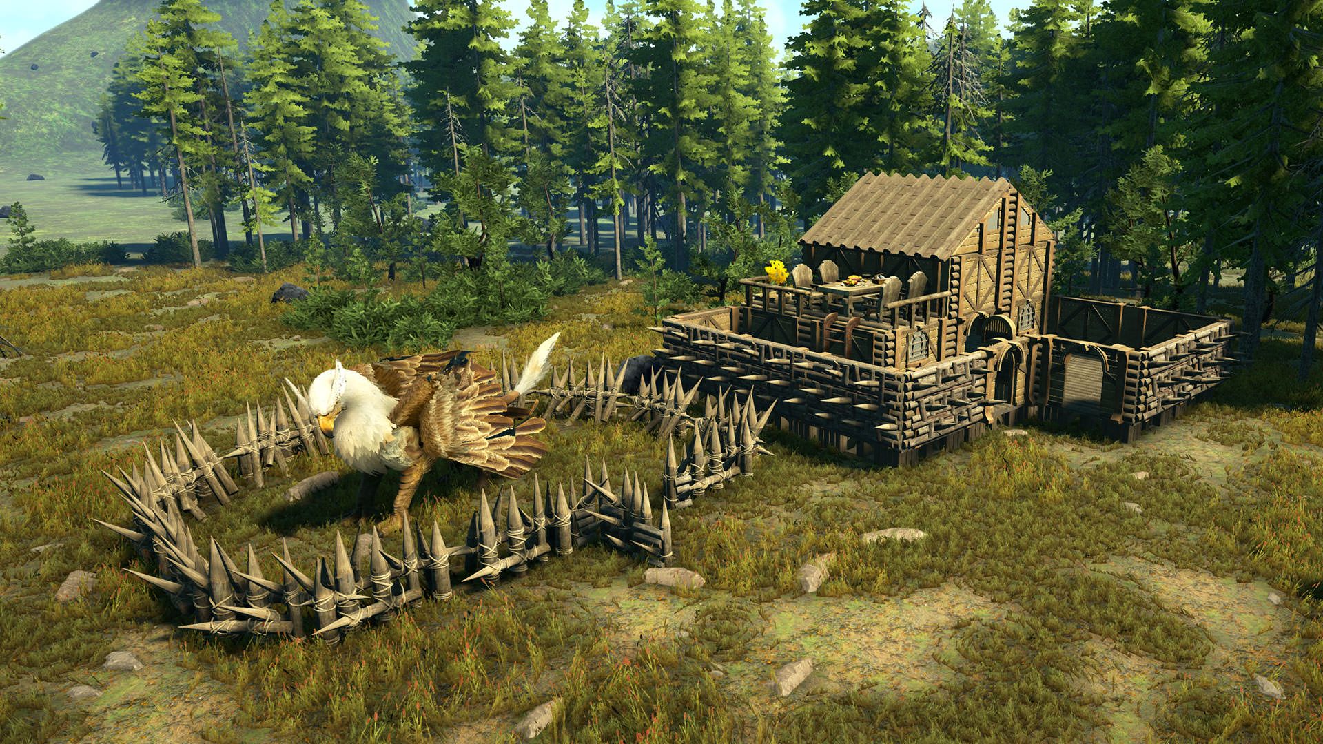 dark and light game 