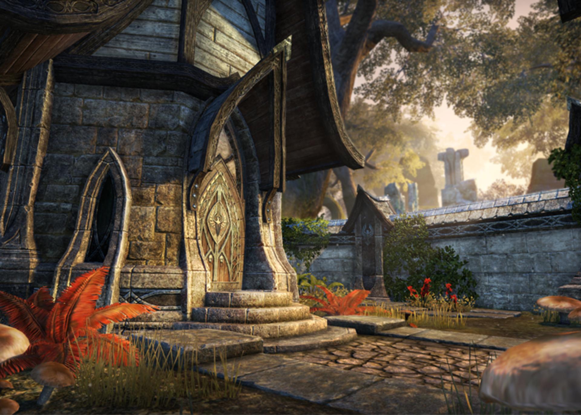 the elder scrolls online