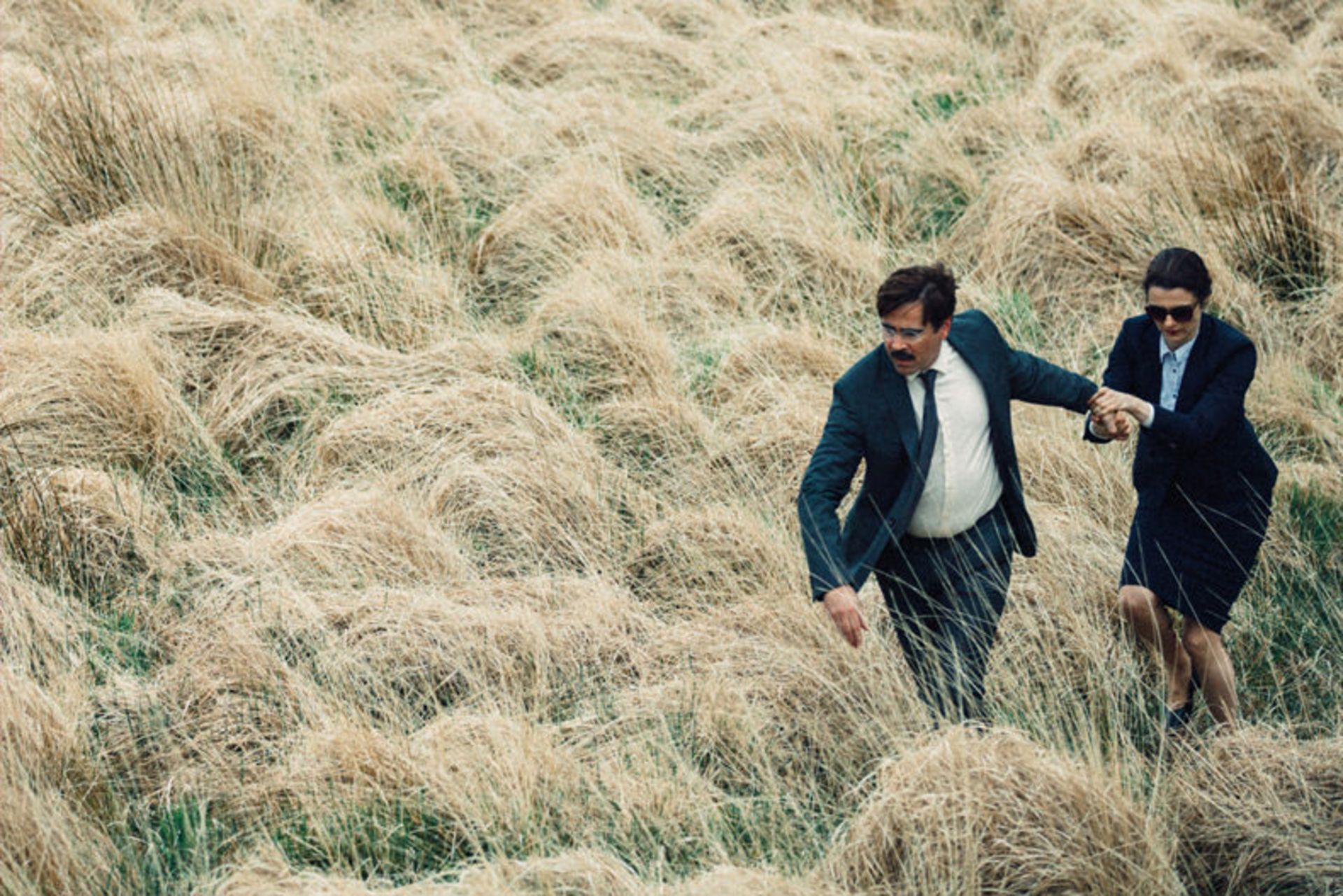 the lobster