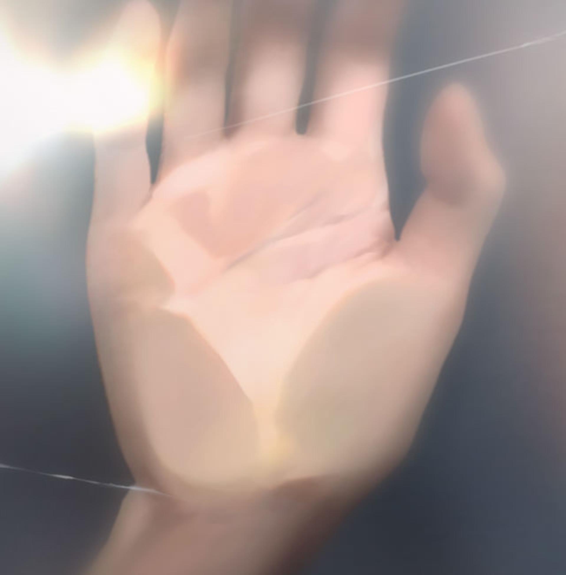 Project Palm
