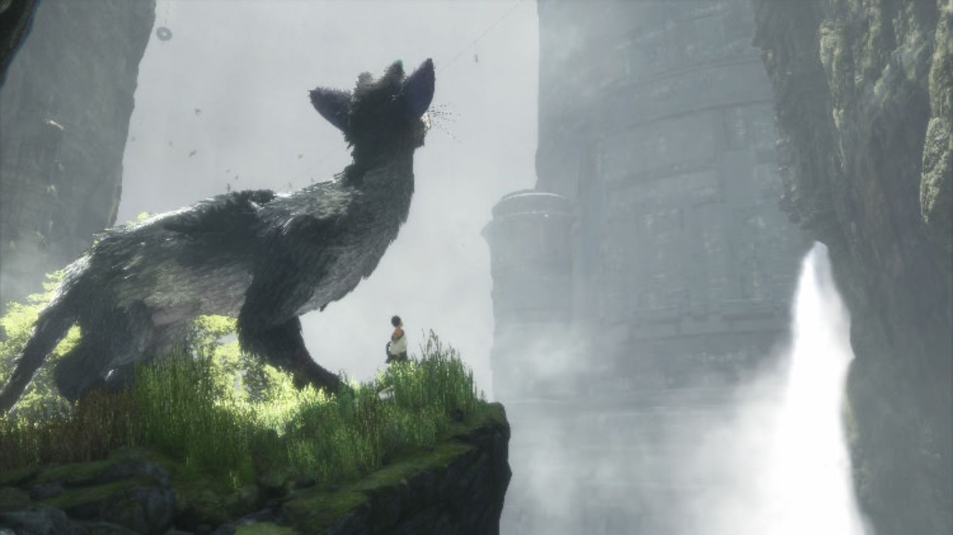 The last Guardian