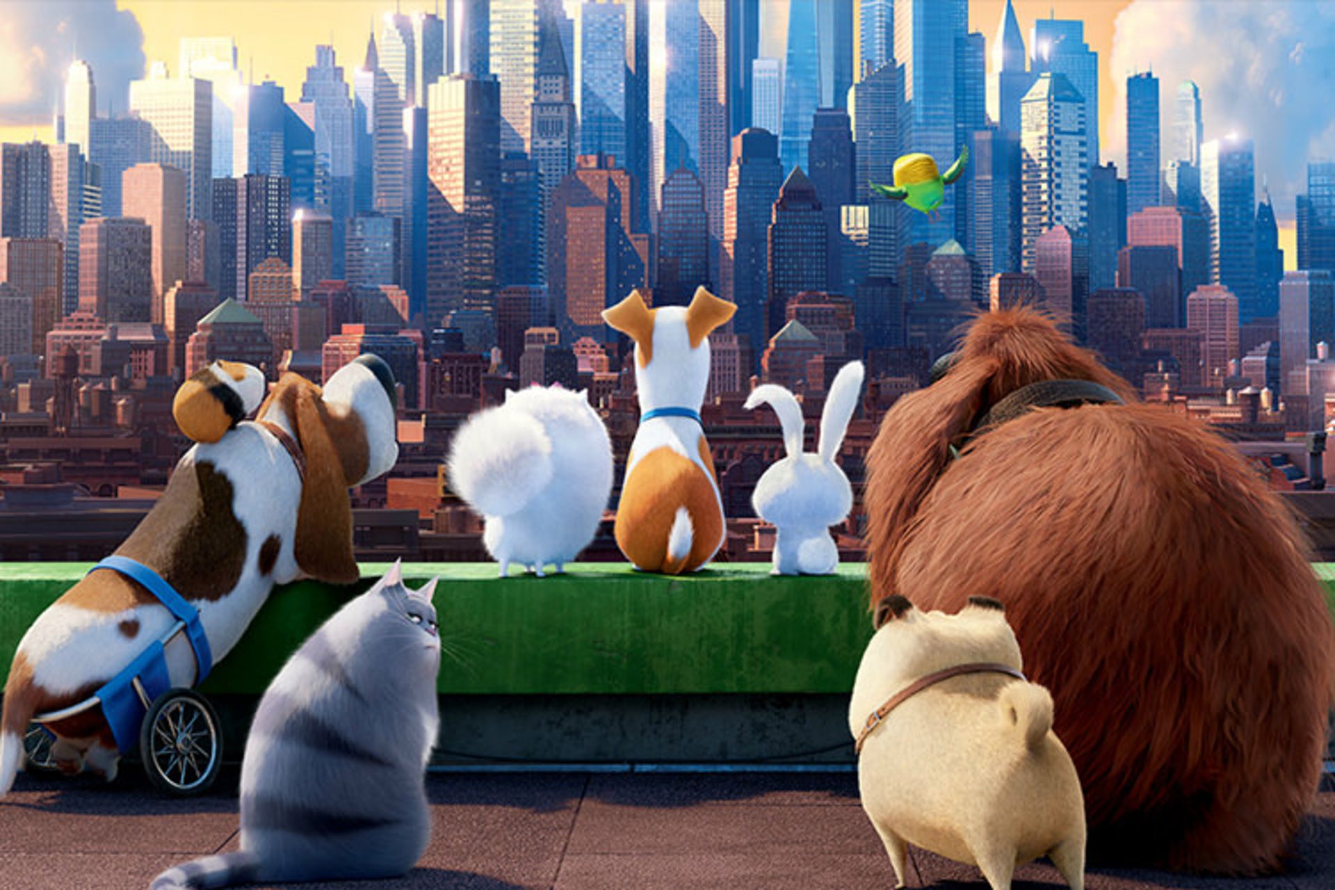 The Secret Life of Pets