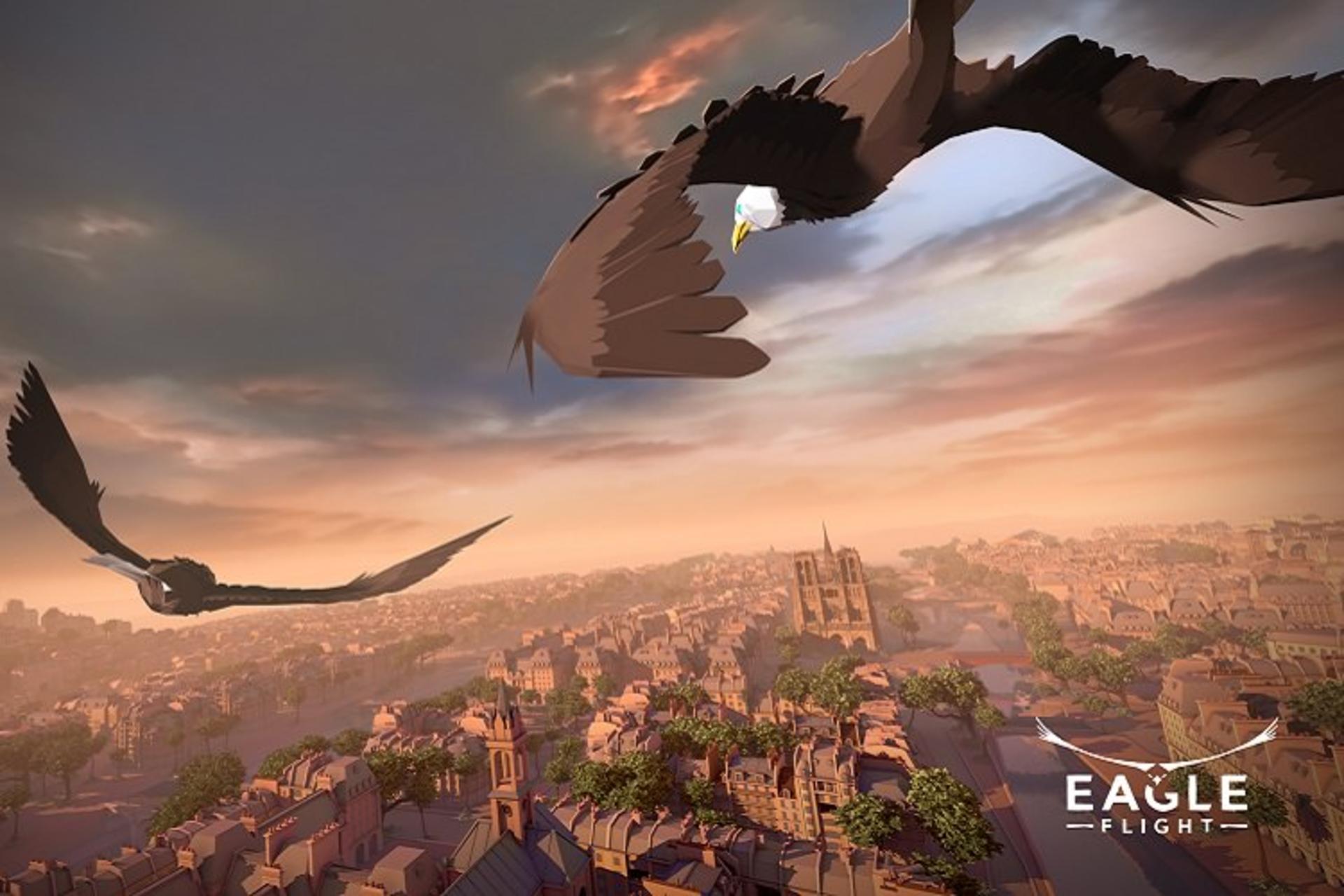 Eagle Flight