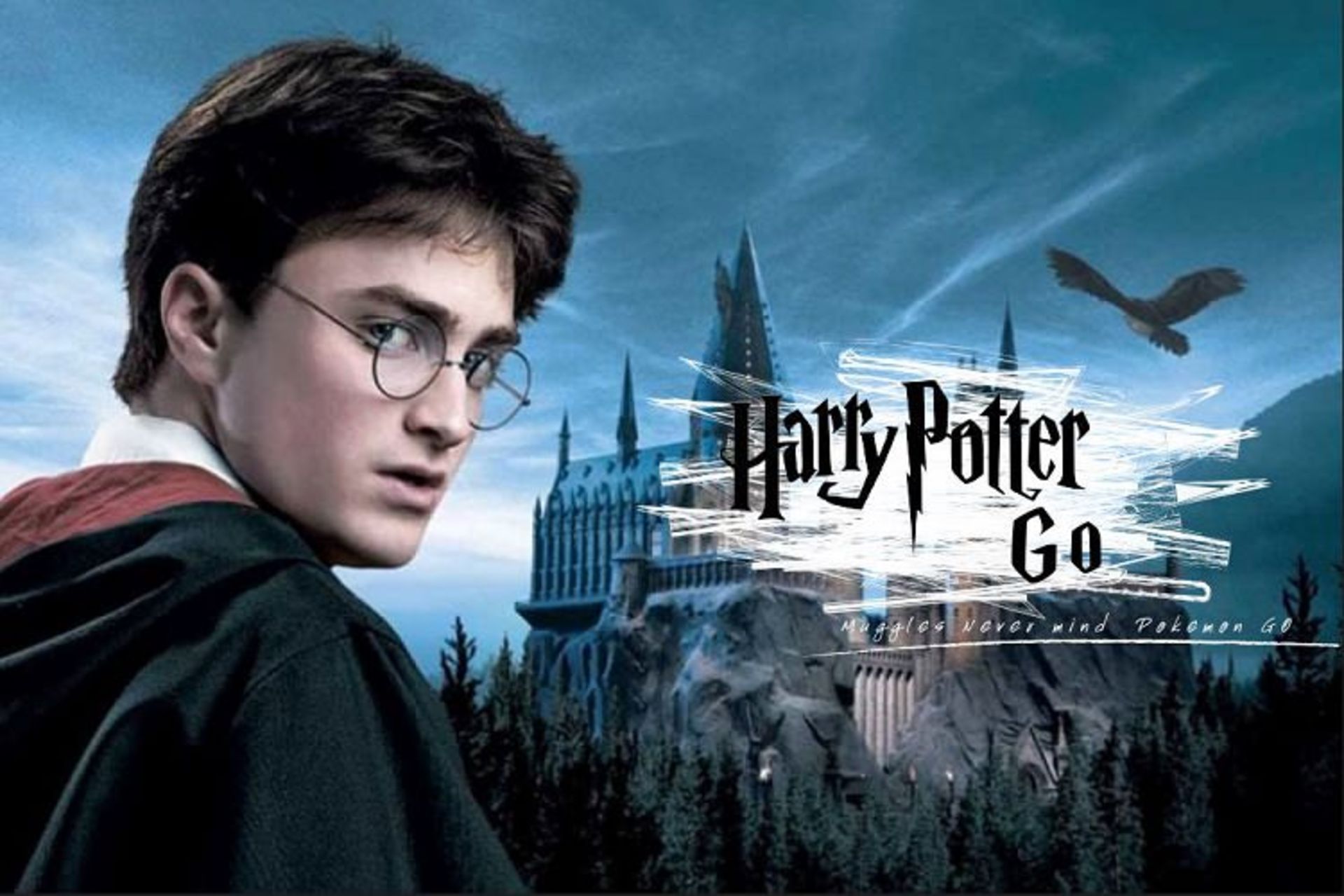 harry potter go