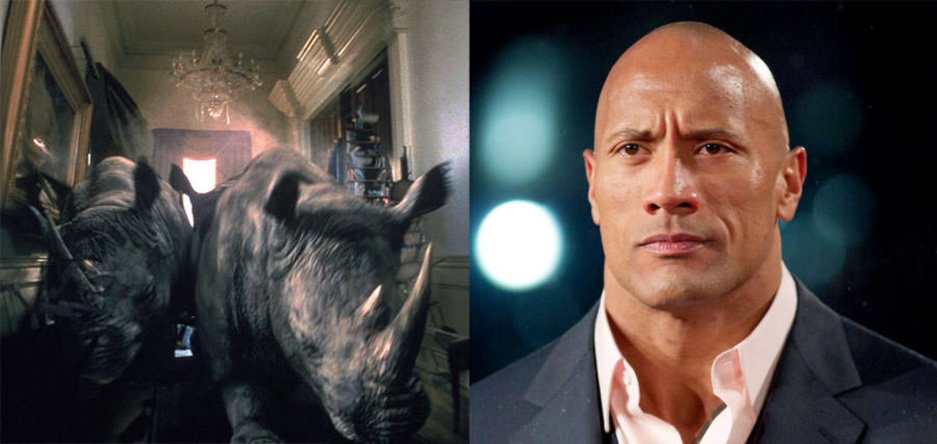 Jumanji and Dwayne Johnson