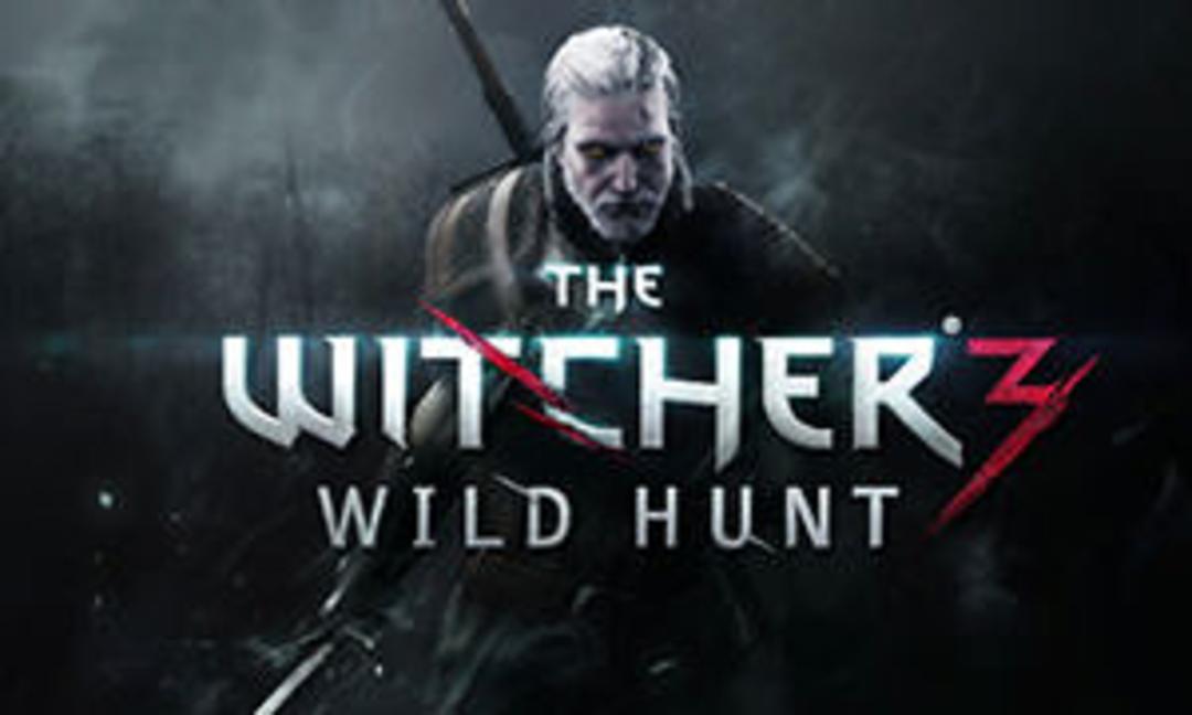 the witcher 3