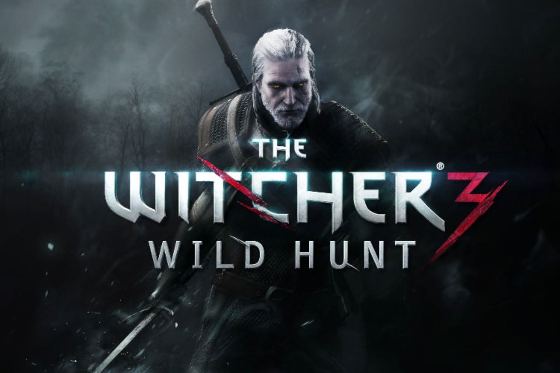 thw witcher 3 wild hunt