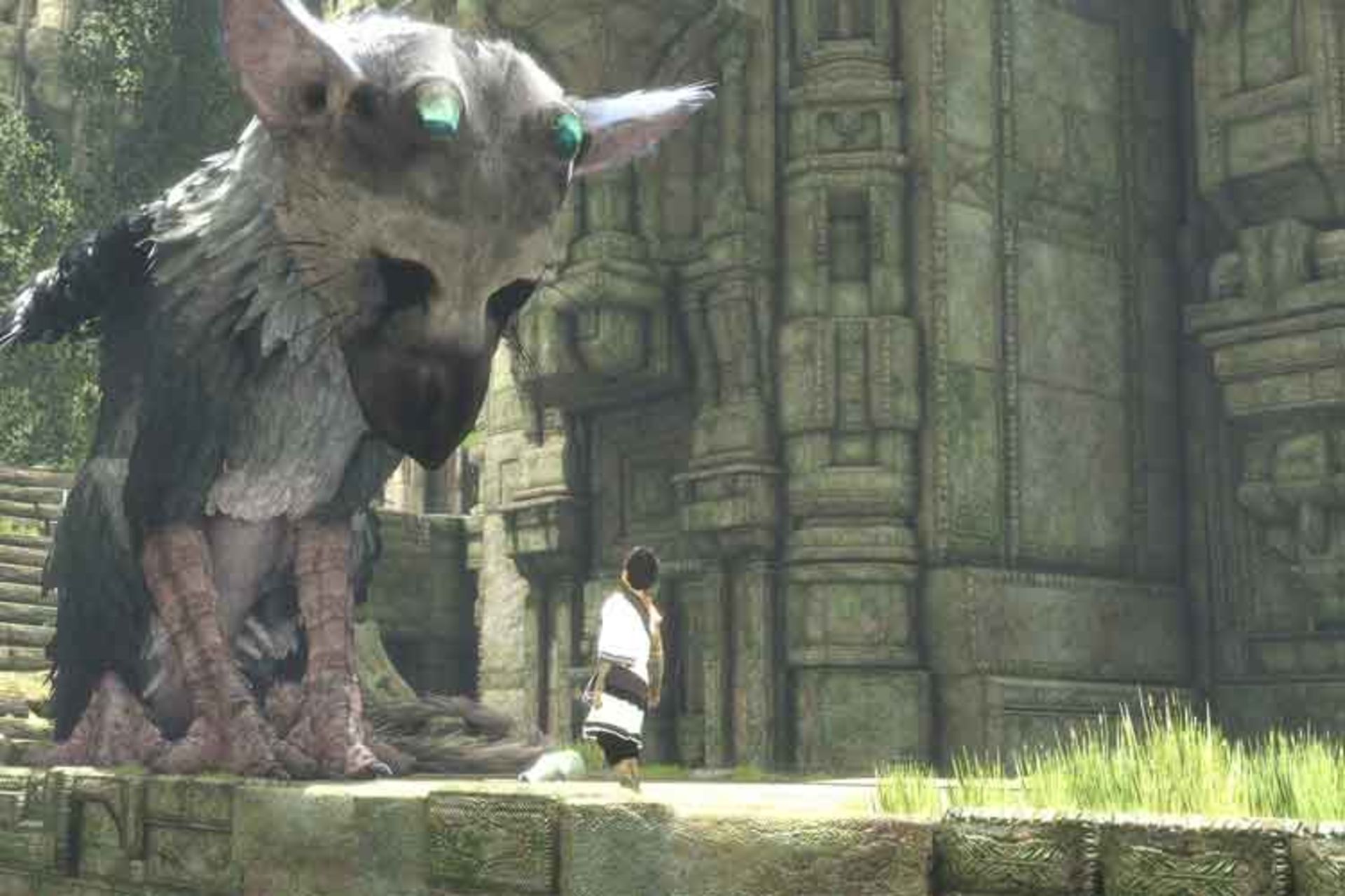 the last guardian