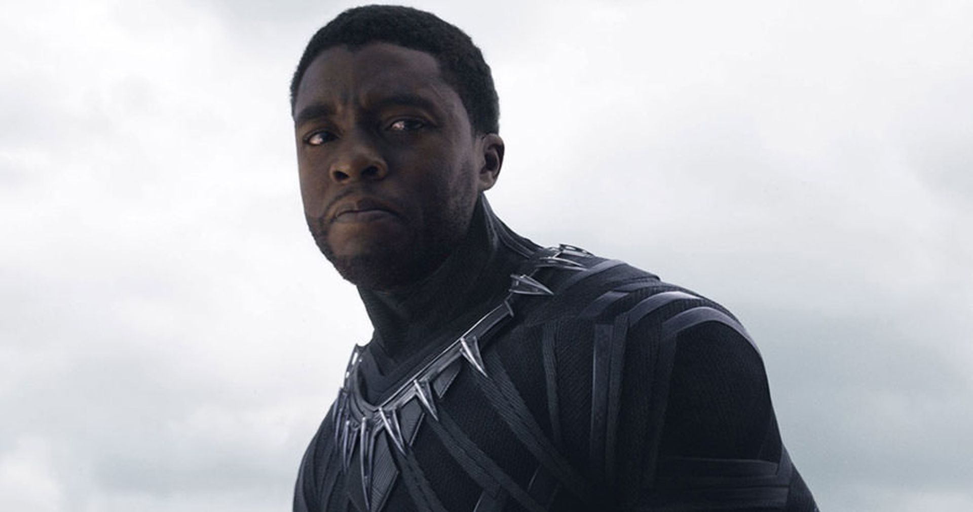 T'Challa / Black Panther