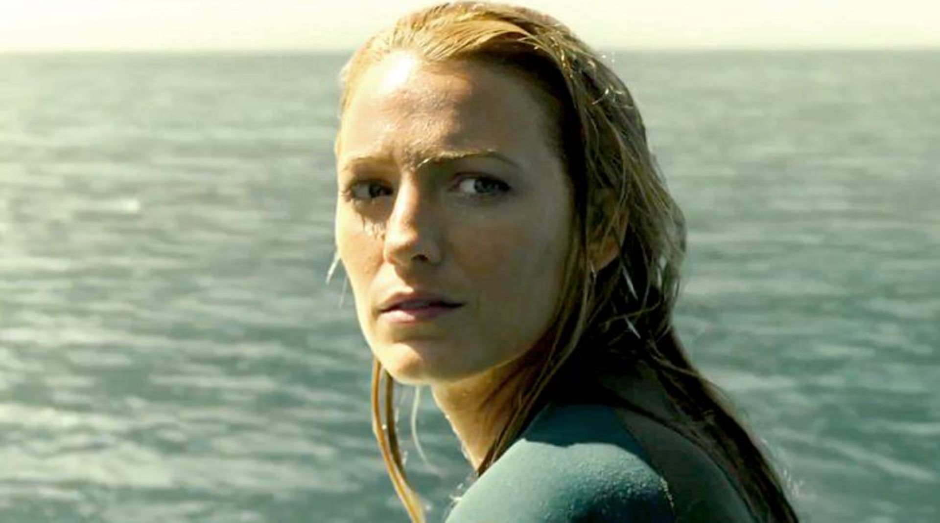 the shallows