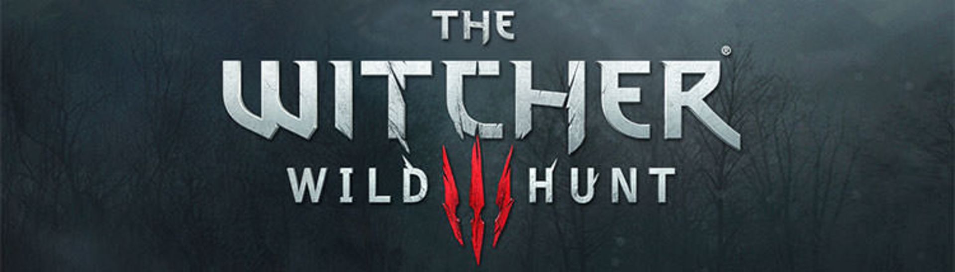the witcher 3