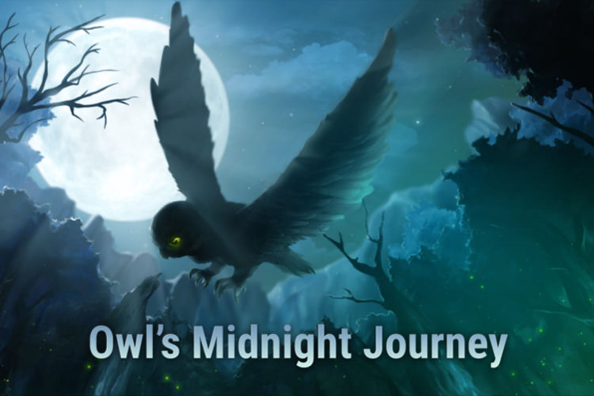 Owl’s Midnight Journey