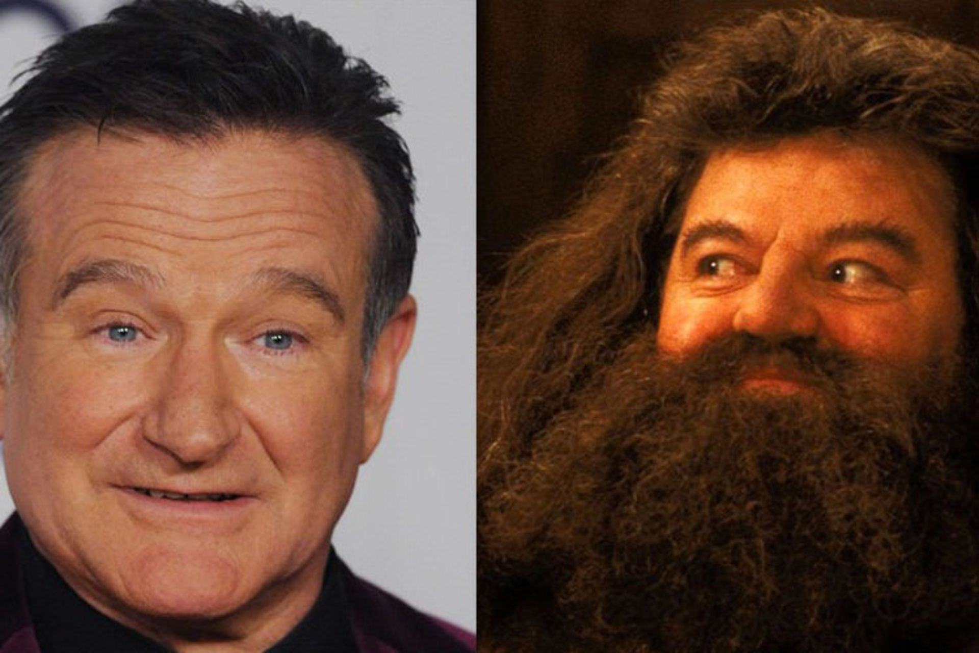 Robin Williams