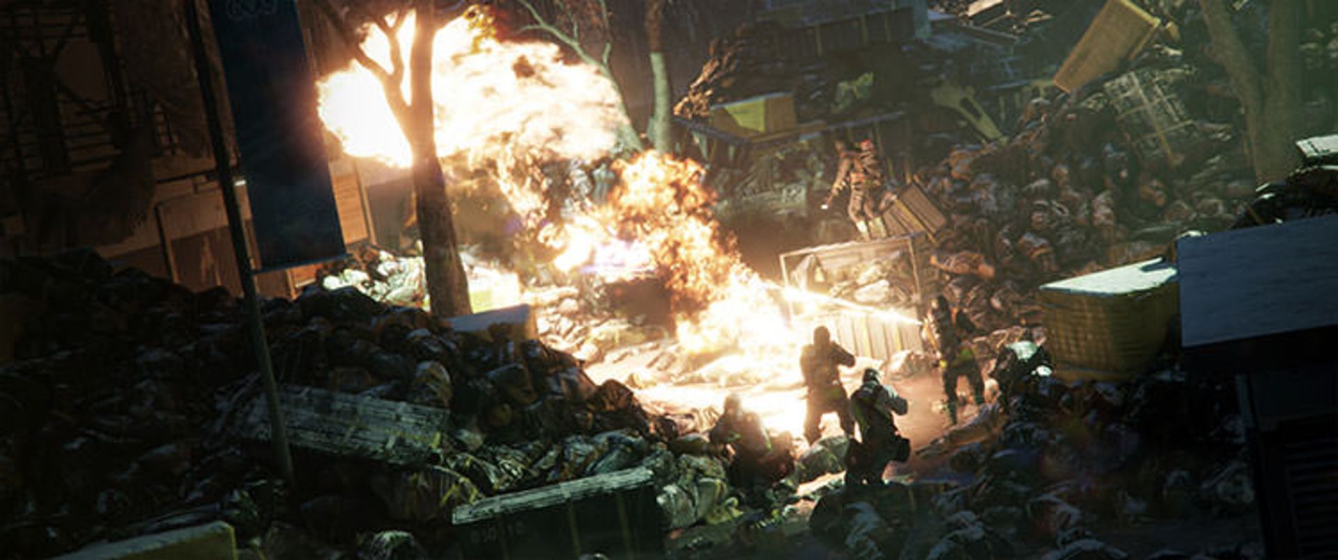 The Division