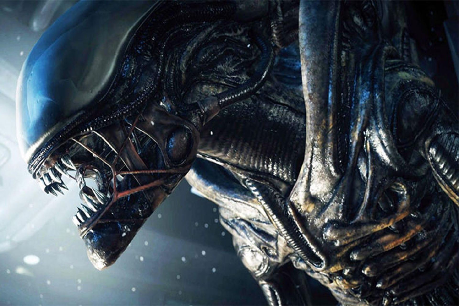 Alien