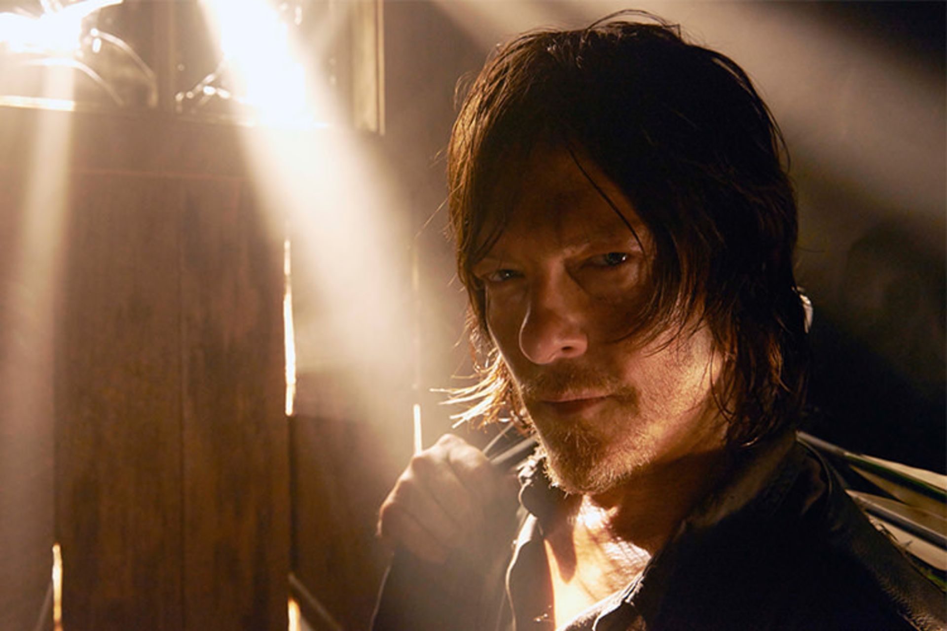 The Walking Dead Daryl Dixon
