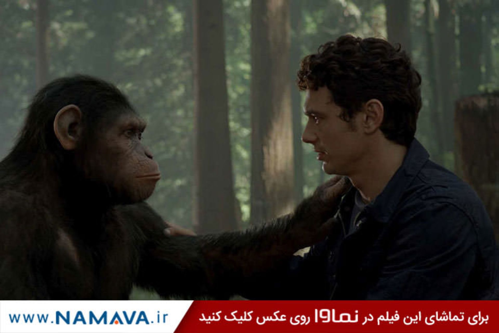 فیلم rise of the planet of the apes