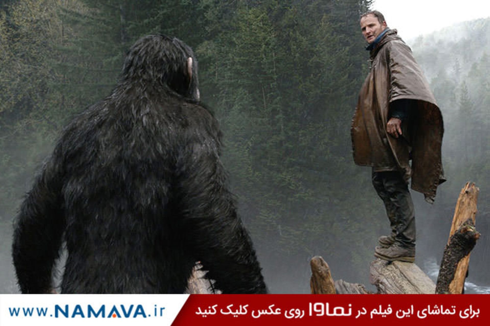 فیلم dawn of the planet of the apes