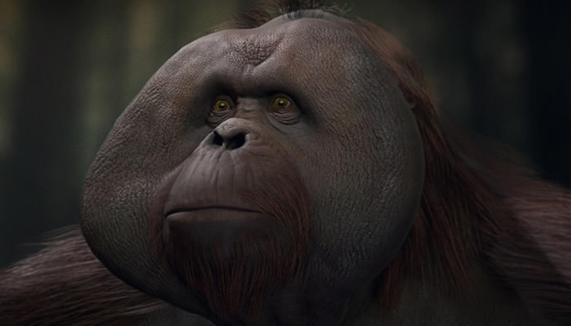 Planet of the Apes: Last Frontier