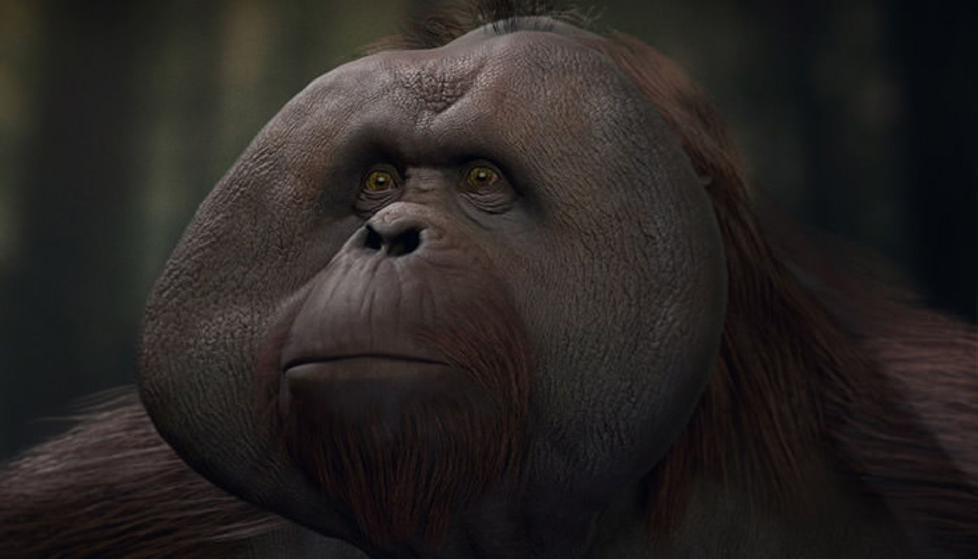 Planet of the Apes: Last Frontier