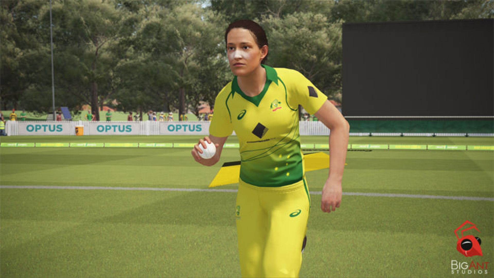 Ashes Cricket
