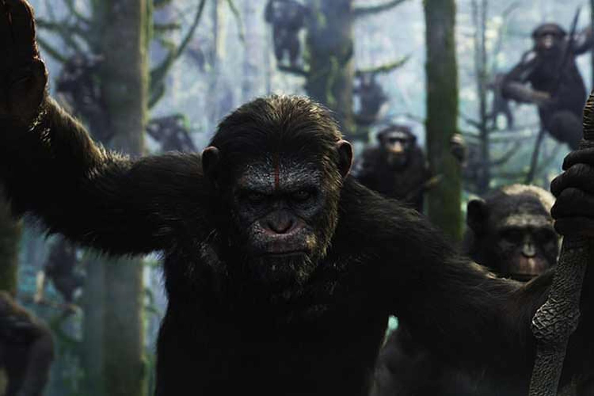 Dawn of the Planet of the Apes