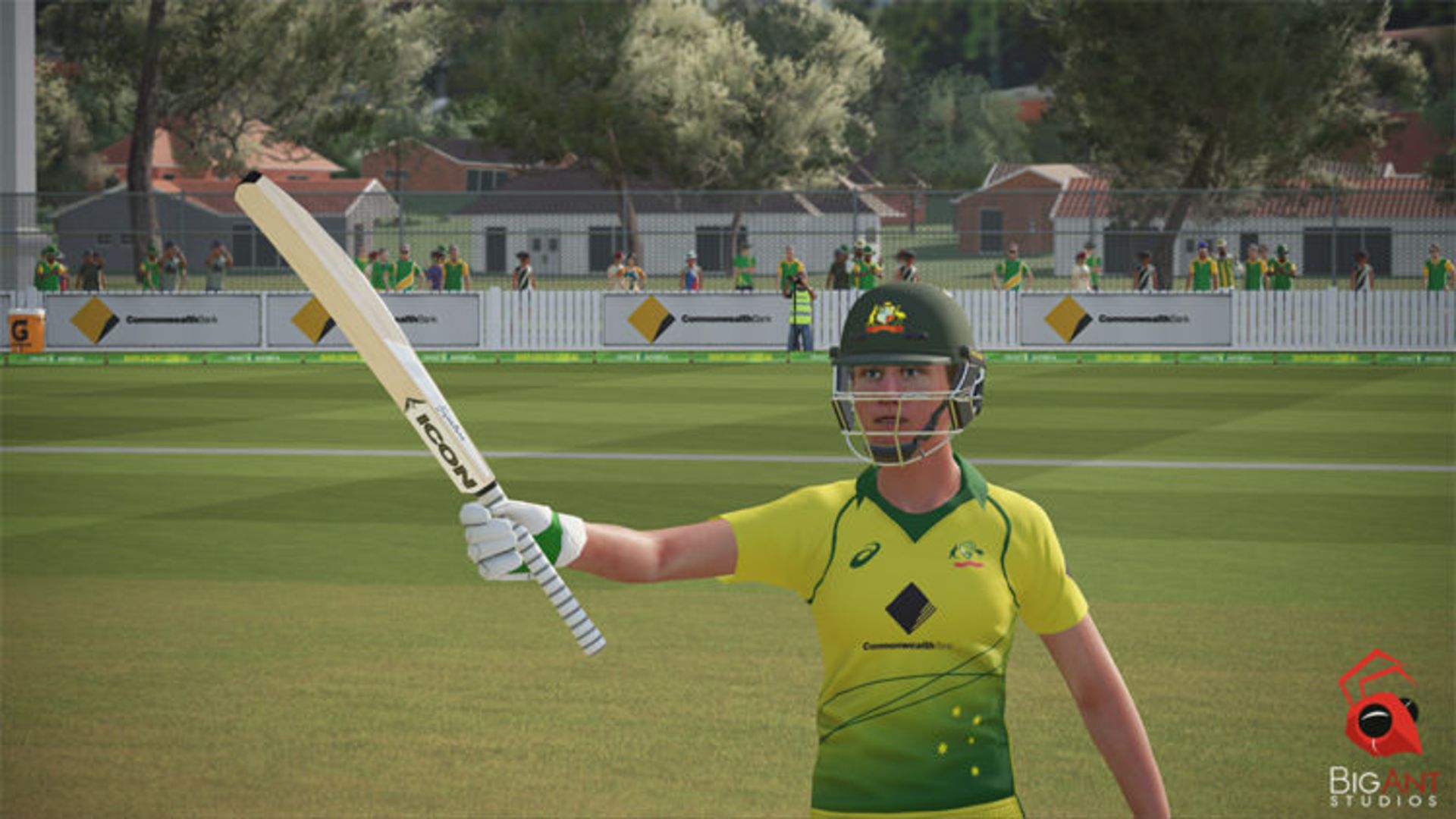 Ashes Cricket